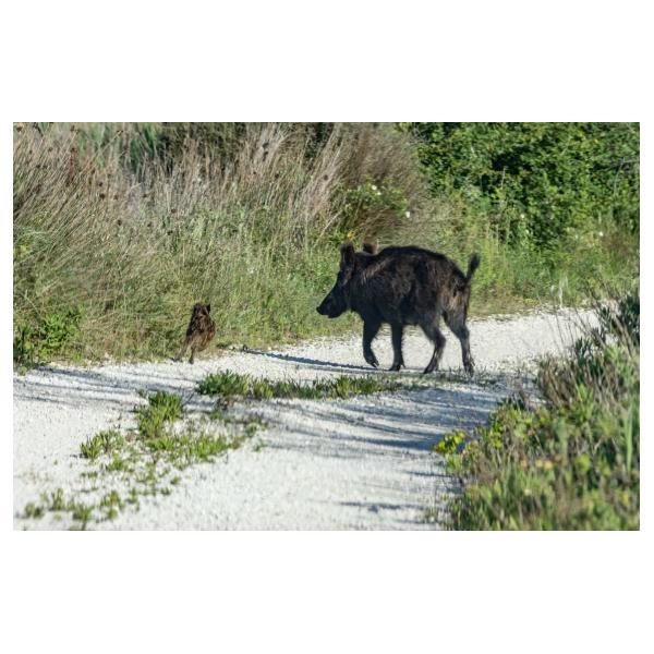 PHOTO84, CLUB, 84 , LUBERON